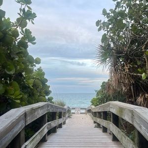 Meet your Posher, Molly